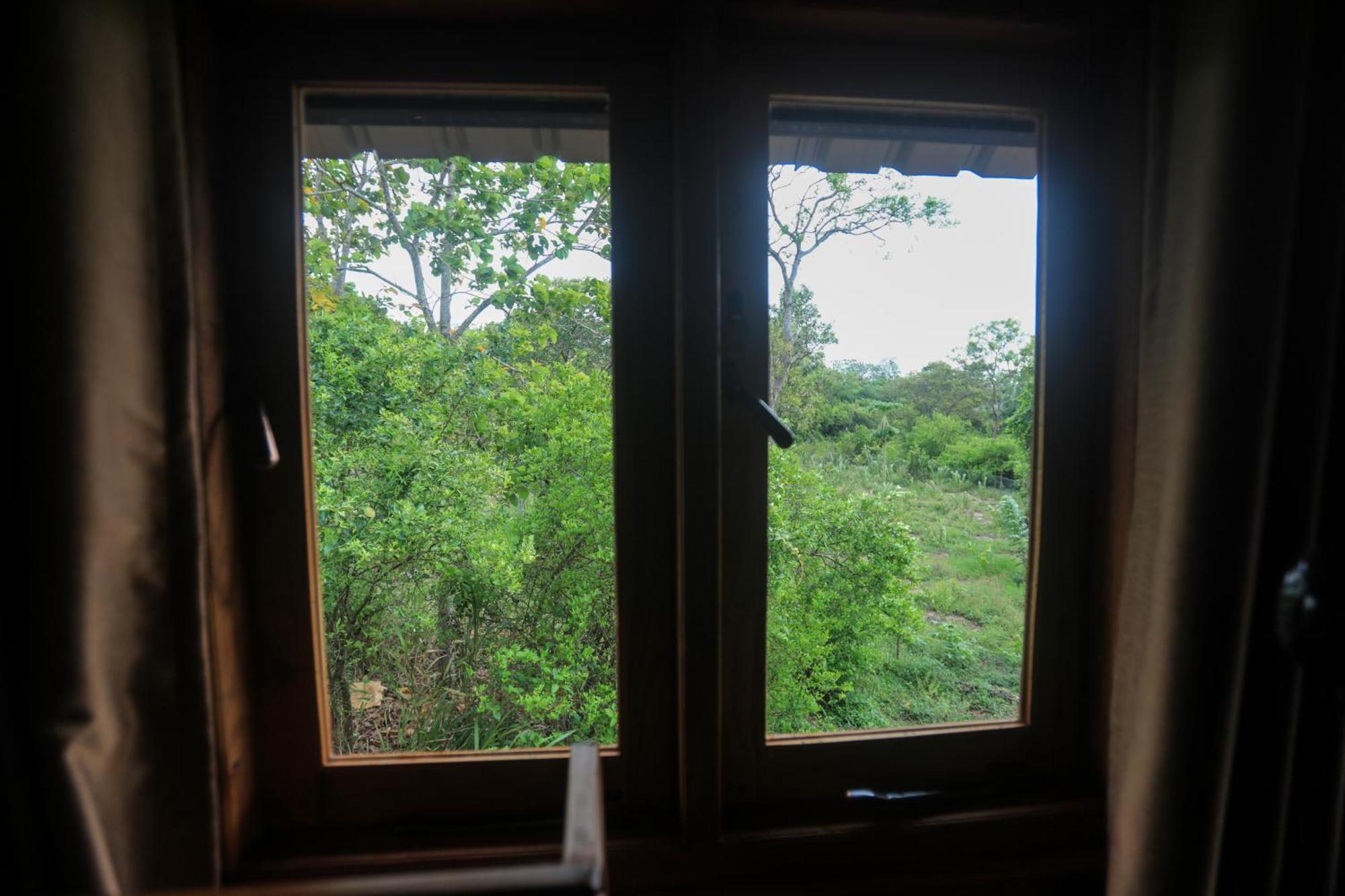 Lion Wood Treehouse Villa Talkote Exterior photo