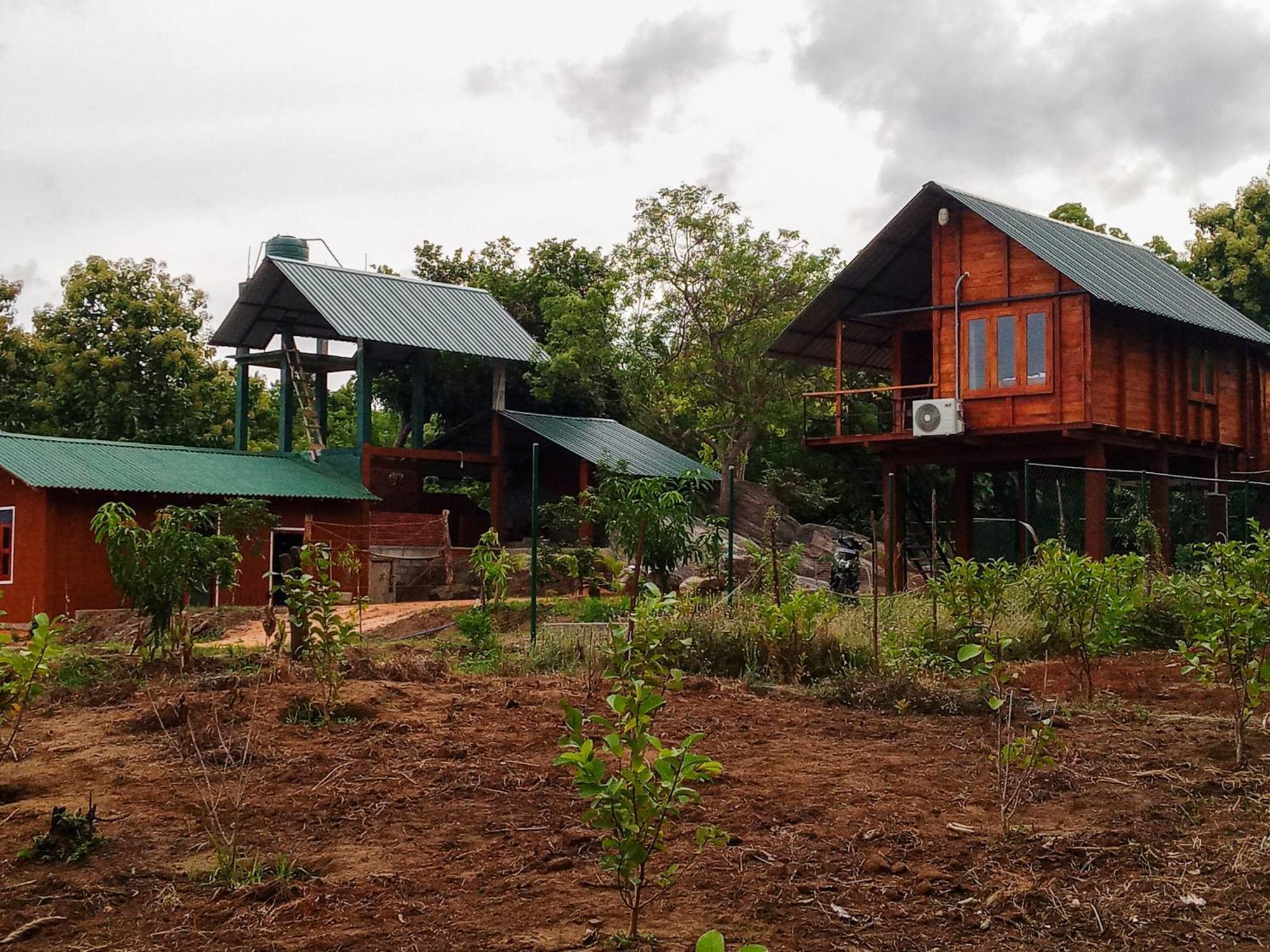 Lion Wood Treehouse Villa Talkote Exterior photo