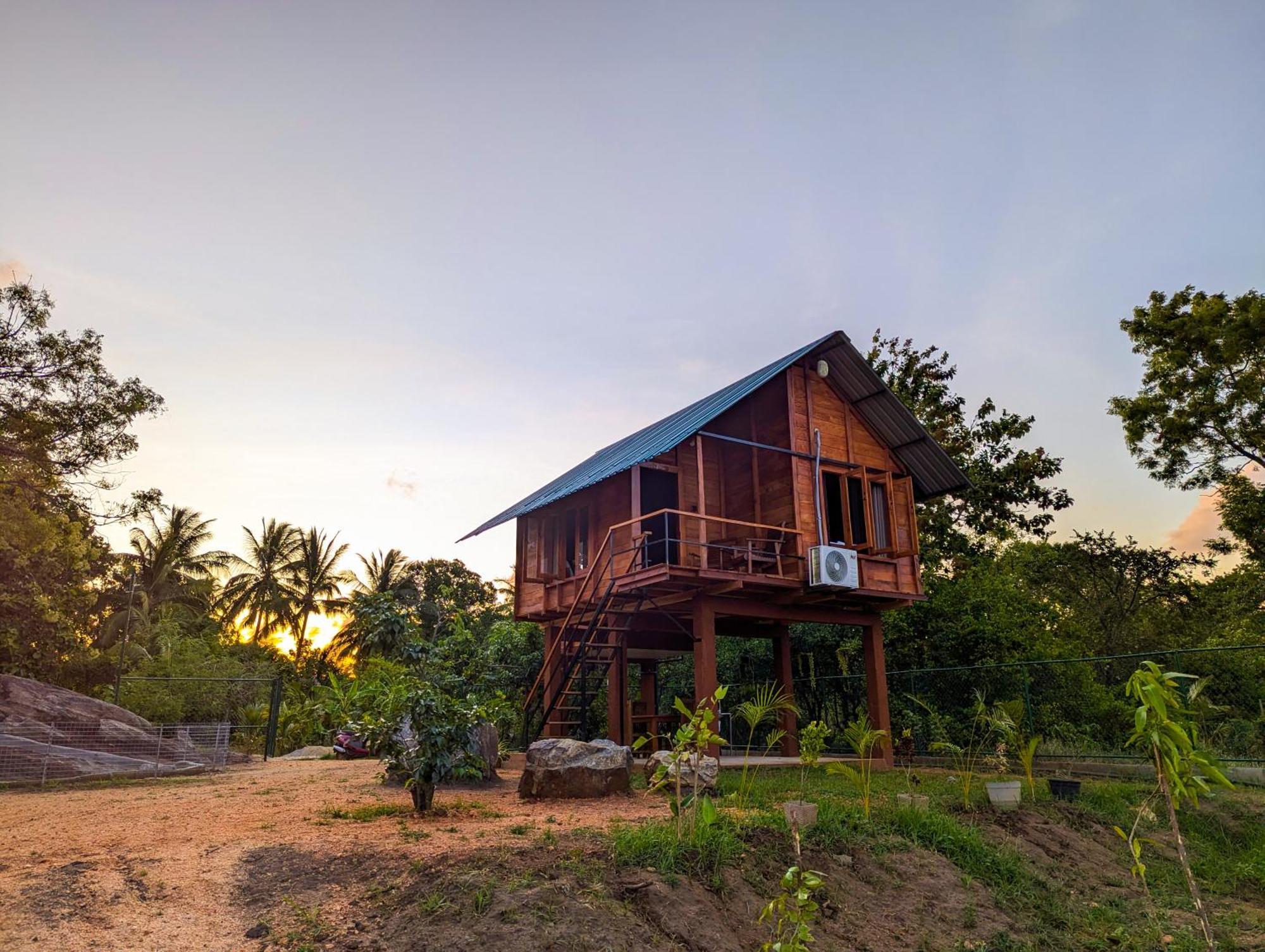 Lion Wood Treehouse Villa Talkote Exterior photo